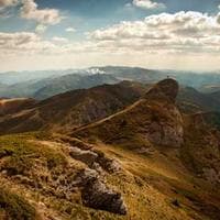 Stockholm Målaretjänst logotyp