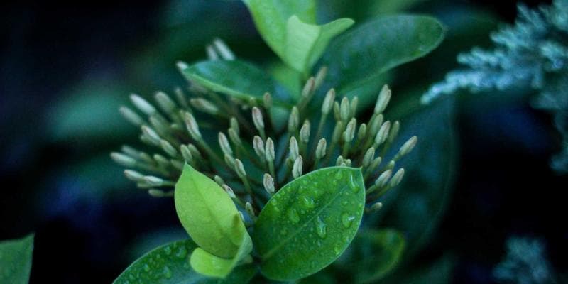 Linköping Beauty Lounge omslagsbild