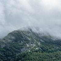 Uppsala Däck AB logotyp