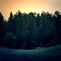 Linköping Beauty Lounge logotyp