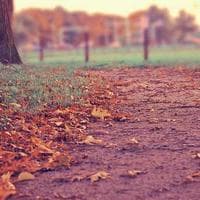 Göteborgs Fastighetsservice logotyp