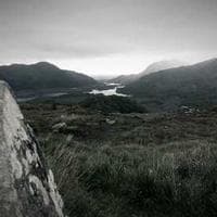 Malmö Fastighetsgruppen logotyp