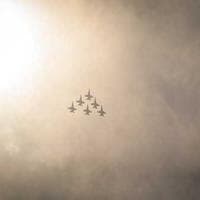 Göteborgs Flyttfirma logotyp