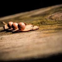 Uppsala Flytt & Förvaring logotyp