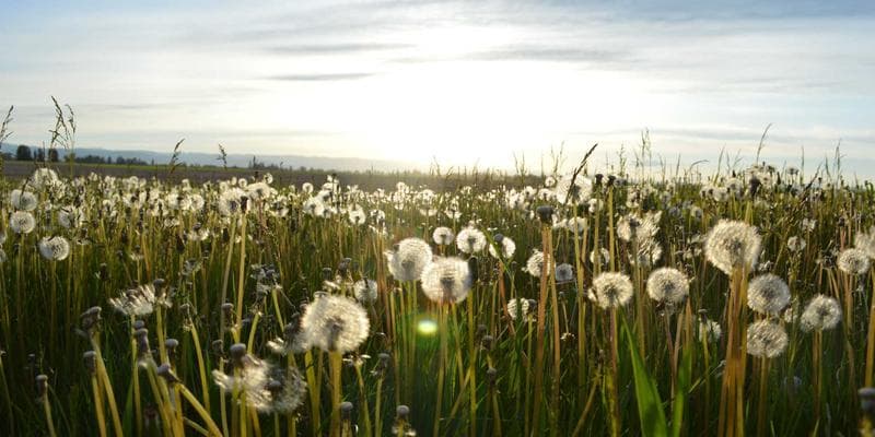 Uppsala Tandklinik omslagsbild