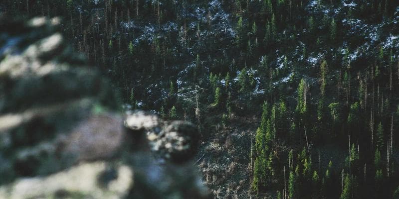 Malmö Byggtjänst omslagsbild