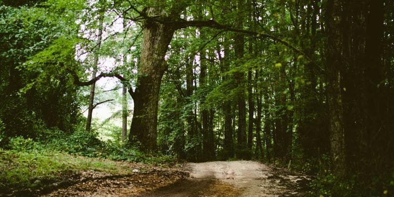 Helsingborg Flytt omslagsbild