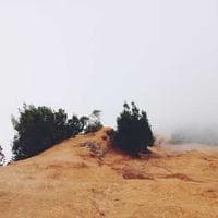 Uppsala VVS-Gruppen logotyp