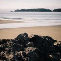 Linköpings Matställe logotyp