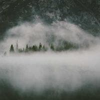 Stockholms Frisör logotyp