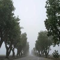 Helsingborg Fastigheter logotyp