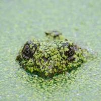 Linköping Snickeri logotyp