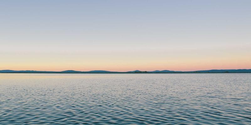 Så läser du restaurangrecensioner som ett proffs